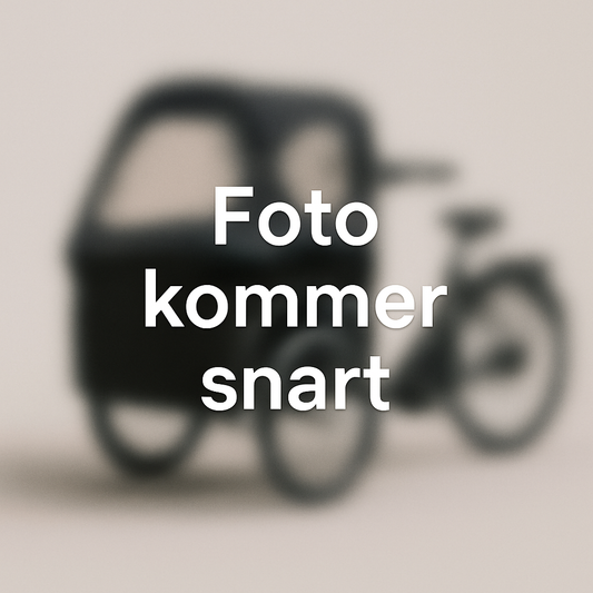 Havn – Skabt til Seaside Bike (ældre model) med beskyttelse mod vind og vejr